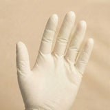 Stretch Vinyl Gloves